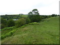 On the ramparts