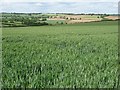 Farmland patchwork