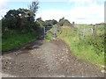 Track leading from Aughanduff Road to Aughanduff Mountain