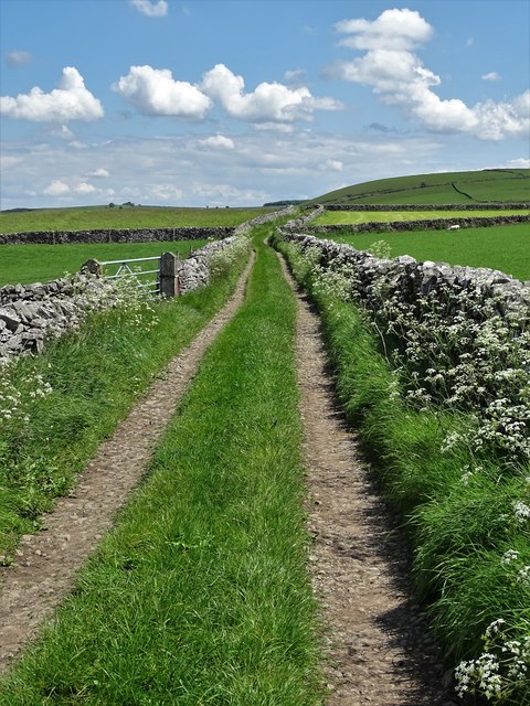 Boarslack Lane east of Litton