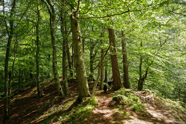 On the esker trail, Evanton Community... © Julian Paren cc-by-sa/2.0 ...