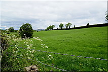 H4578 : Carnony Townland by Kenneth  Allen