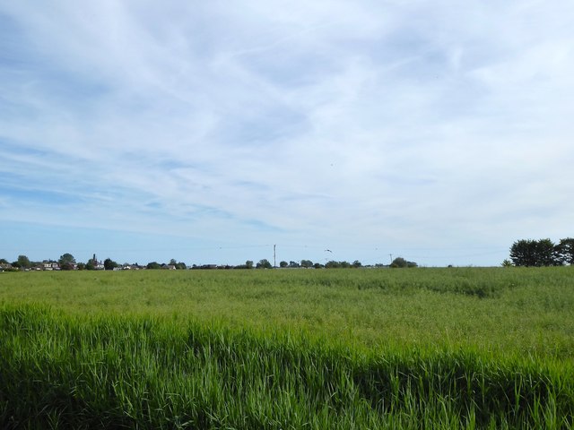 Ten Acre Piece © Simon Carey cc-by-sa/2.0 :: Geograph Britain and Ireland