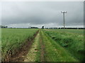 Bridleway towards Sober Hill Farm