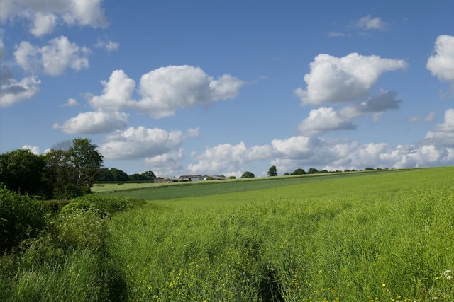 Farmland west of Froxfield