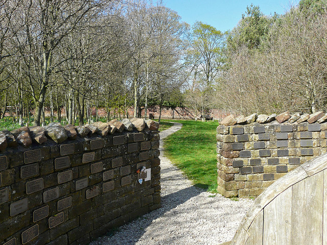 Woodland burial site, Carlisle Cemetery (4)