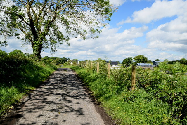 Tree shadows along Botera Road © Kenneth Allen cc-by-sa/2.0 :: Geograph ...