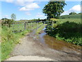 Surface Water issuing from a farm lane on to Island Road