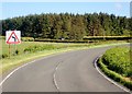 Bends on the A25  East of Cold Brae Wood