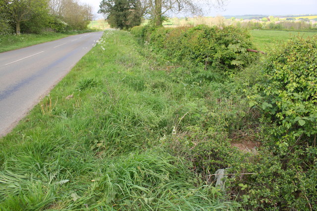 Roadside ditch and gateway on SE side of Melton Road
