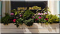 Kentish Town : "The Pineapple" public house window box