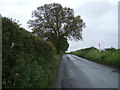 Beechtree Lane towards Five Ways