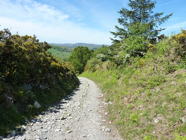 Track on the east side of The Berwyns