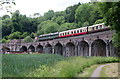 SJ6604 : Coalbrookdale Viaduct - steam special  by Chris Allen