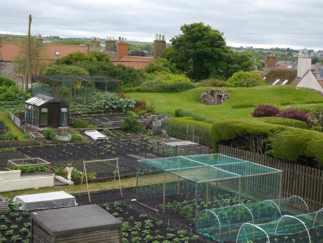 Lions House Allotments Berwick-Upon-Tweed