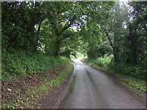 SO8586 : Greensforge Lane by JThomas