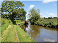 Llangollen (Shropshire Union) Canal nearing Ellesmere