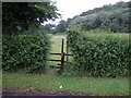 Footpath to Blazebank