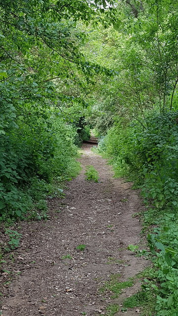 Footpath parallel to Ringsfield Road © Helen Steed :: Geograph Britain ...