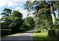 Private road to Bewley Farm