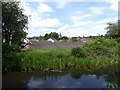 View from the towpath of the Montgomery Canal in Berriew