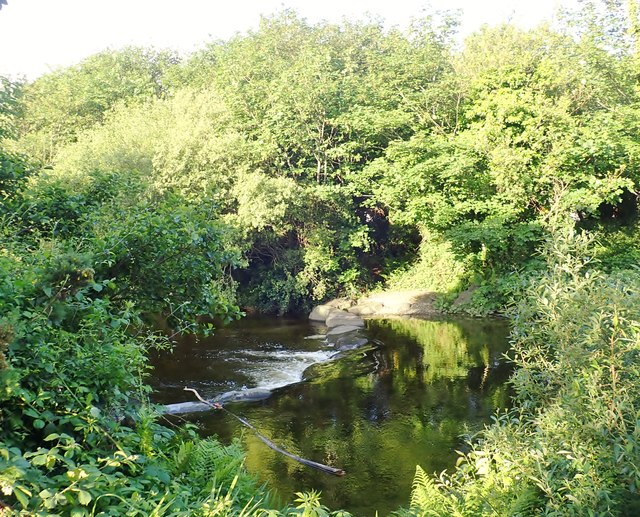 Weir on the Shimna in Islands' Park