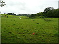 Mound in a field near Dunlop Avenue, Leeds