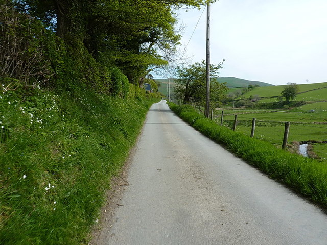 Along the lane in the valley near Tyn-y-ffridd