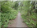 Wales Coast Path by the Tennant Canal