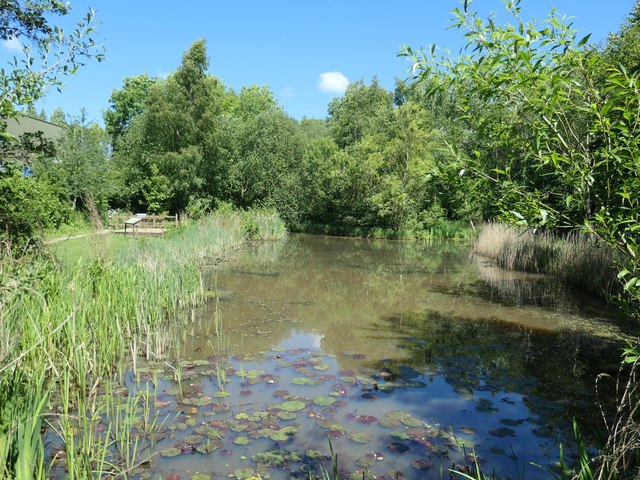 The larger pond, Denso Marston nature... © Christine Johnstone cc-by-sa ...