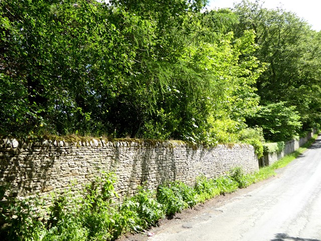 Wall alongside the Juniper road