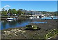 NS3975 : The River Leven seen from Posties Park by Lairich Rig