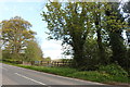 SO1461 : The A44 south of Llandegley by David Howard
