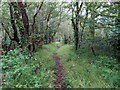 Llwybr Llanbadarn Odwyn / Llanbadarn Odwyn Path