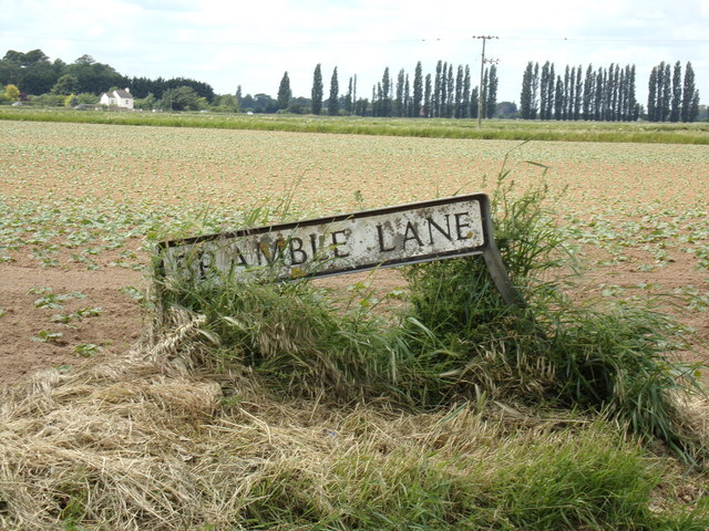 Bramble Lane sign