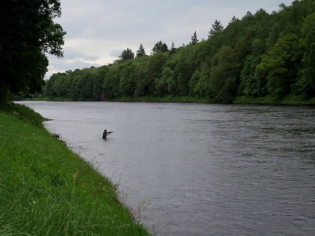 At full stretch on the River Tay