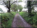 Llwybr ceffyl Blaen-plwyf / Blaen-plwyf Bridleway