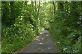 Minor road towards Treath followed by the SW Coast Path