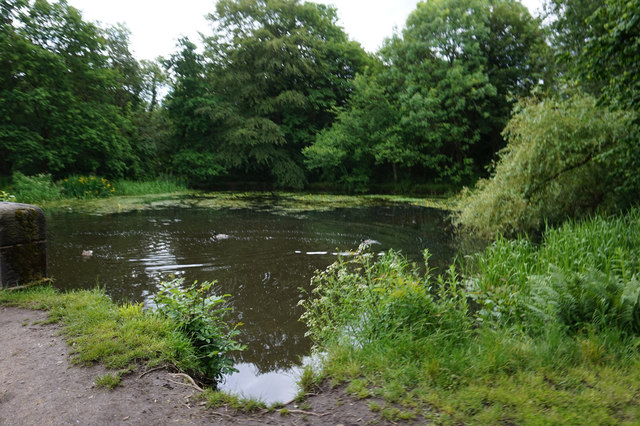 Haigh Lower Plantations, Wigan - Area Information, Map, Walks And More