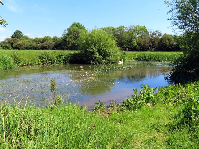 The River Cherwell © Steve Daniels cc-by-sa/2.0 :: Geograph Britain and ...