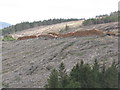 NM5324 : Log piles in Glen Leidle by M J Richardson