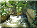 Weir on the Colne, Stanwell Moor