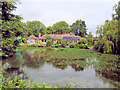 Pond at Fishbourne