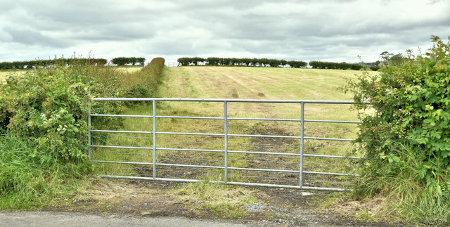 Field gate, Ballyblack near Newtownards (June 2019)