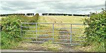 J5372 : Field gate, Ballyblack near Newtownards (June 2019) by Albert Bridge