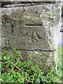 Bench mark in Upper Soudley, Forest of Dean