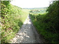 SU7287 : The Oxfordshire Way near Bix Bottom by David Hillas