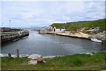 D0345 : Ballintoy Harbour, Country Antrim by Kenneth  Allen