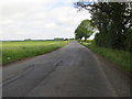 Melmerby Green Lane near The Mires