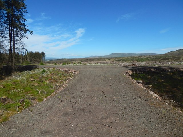 Forestry track